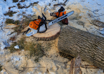 Chainsaw sitting on stump of freshly cut tree.