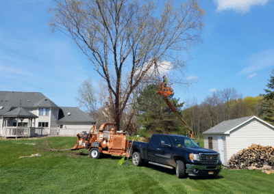 Tree pruning services