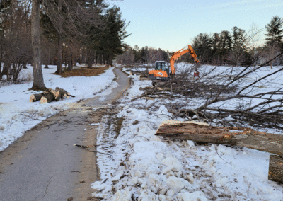 Cleaning up tree debris after a storm.