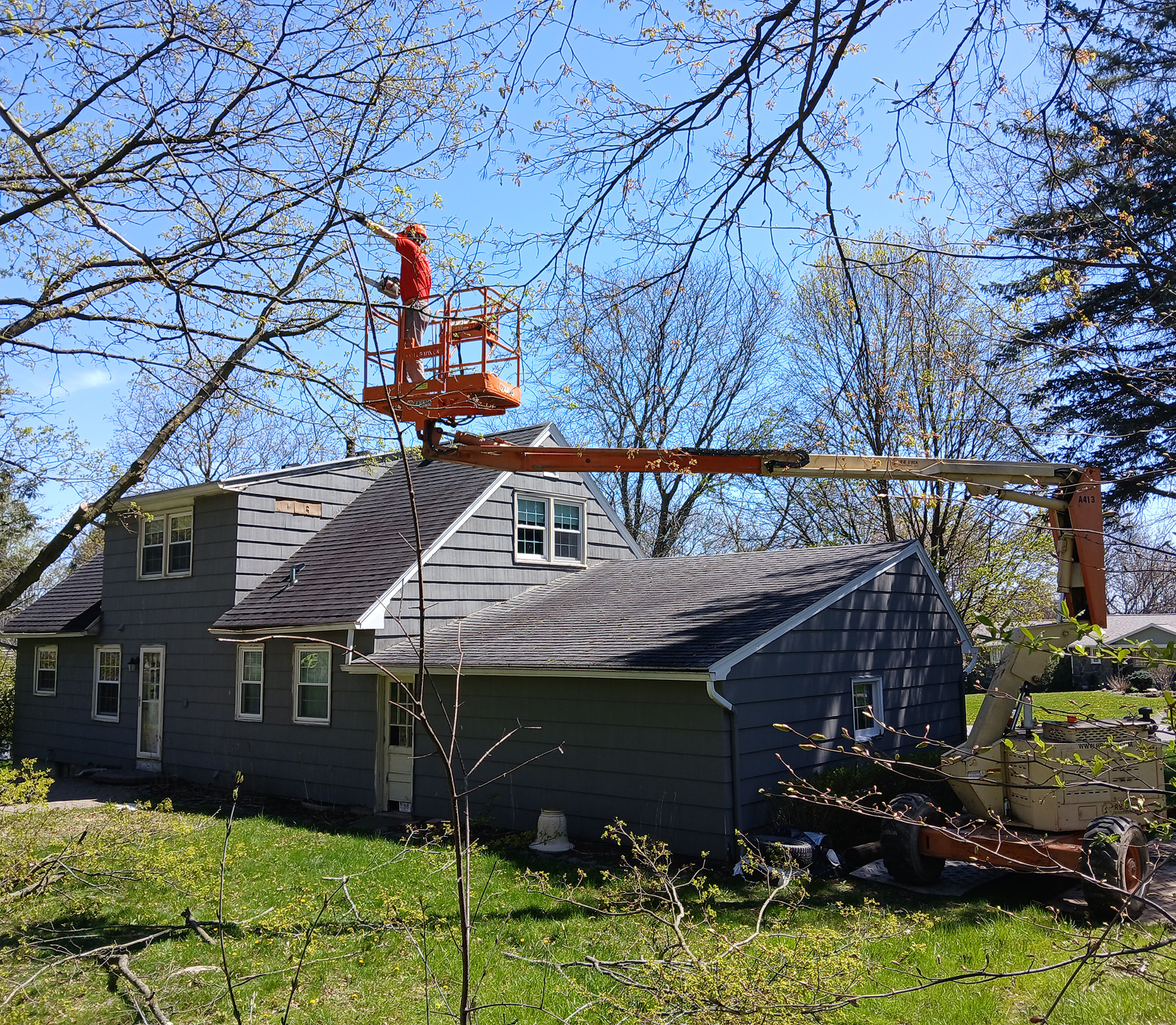 Team cleaning up tree debris on a front lawn after a storm.