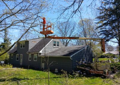 Team cleaning up tree debris on a front lawn after a storm.