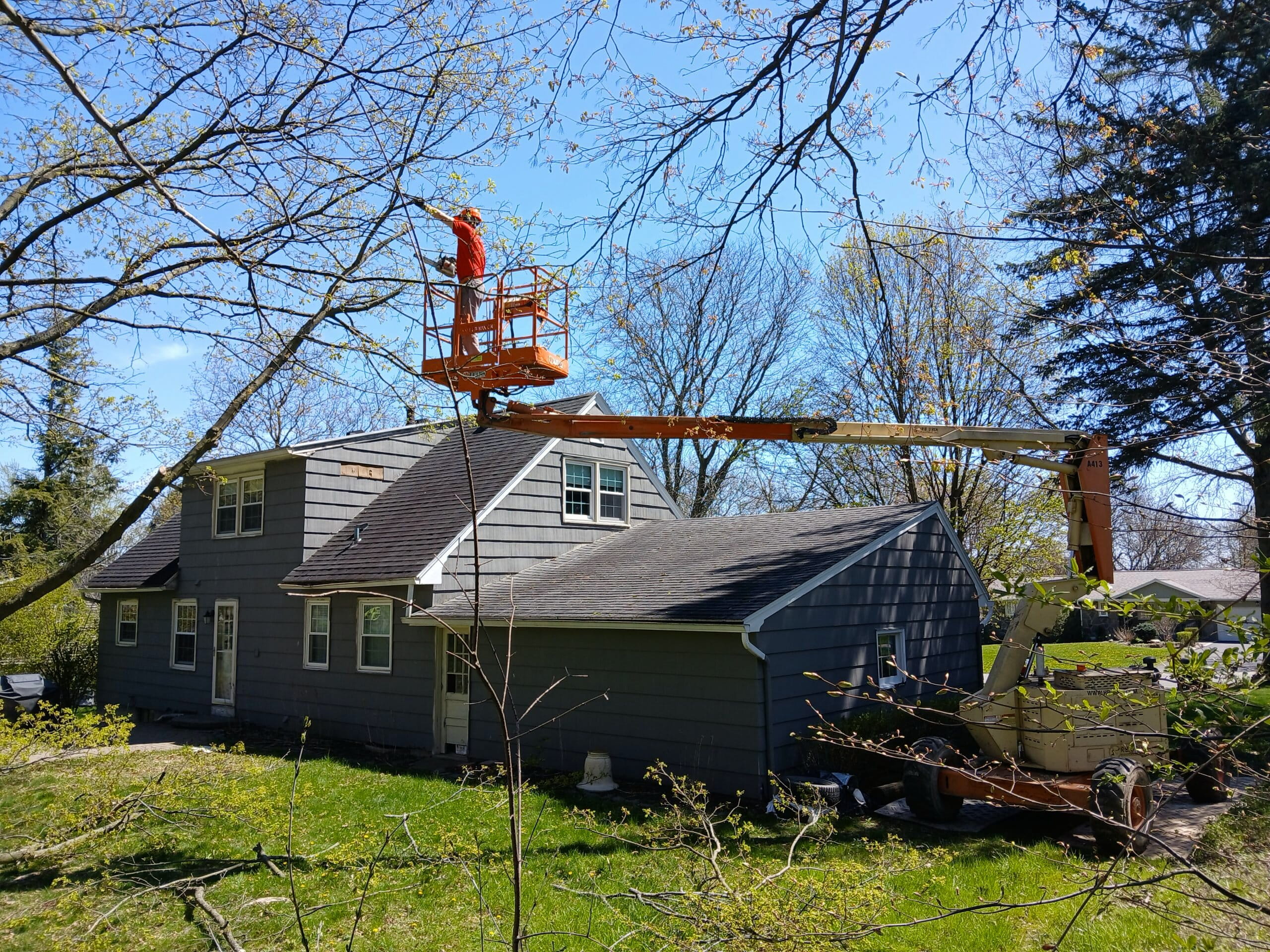 Team cleaning up tree debris on a front lawn after a storm.