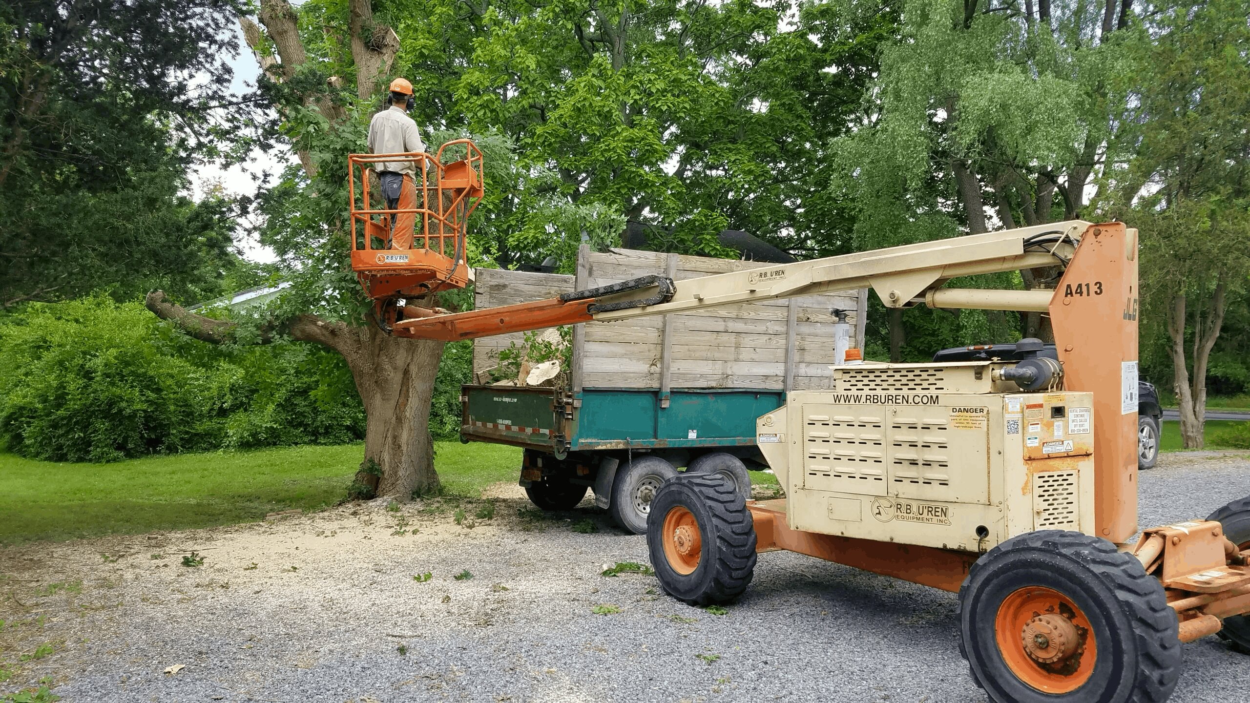 Team cleaning up tree debris on a front lawn after a storm.